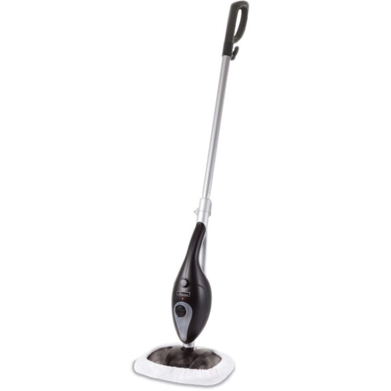 Ramtons Steam Cleaner
